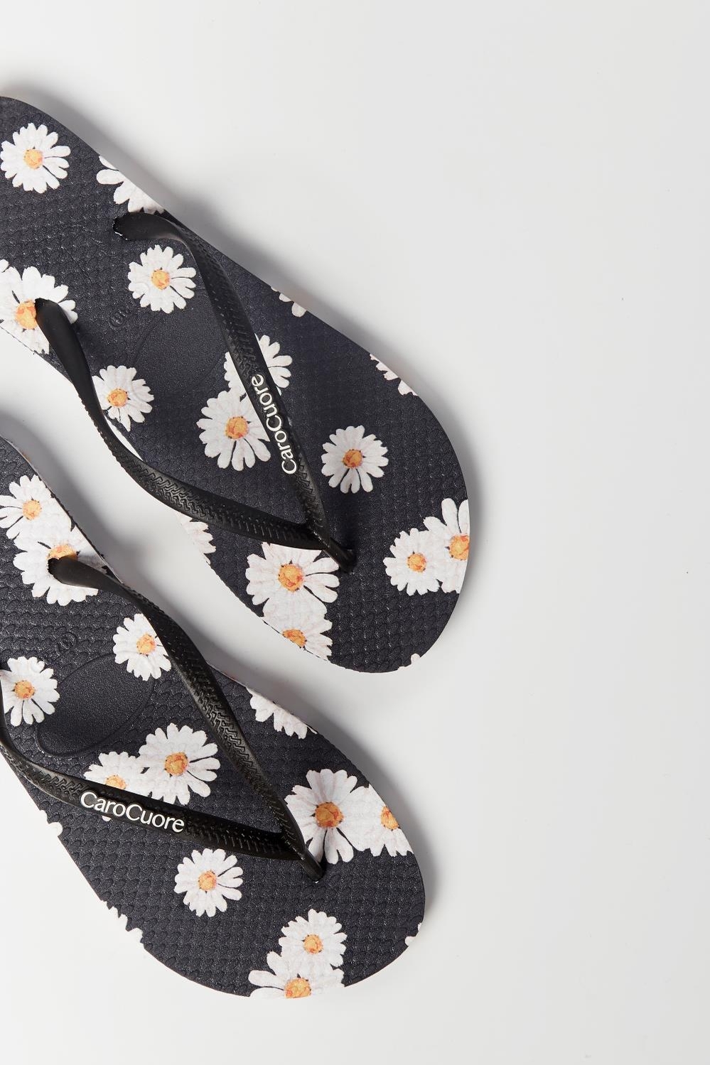 ojota daisy