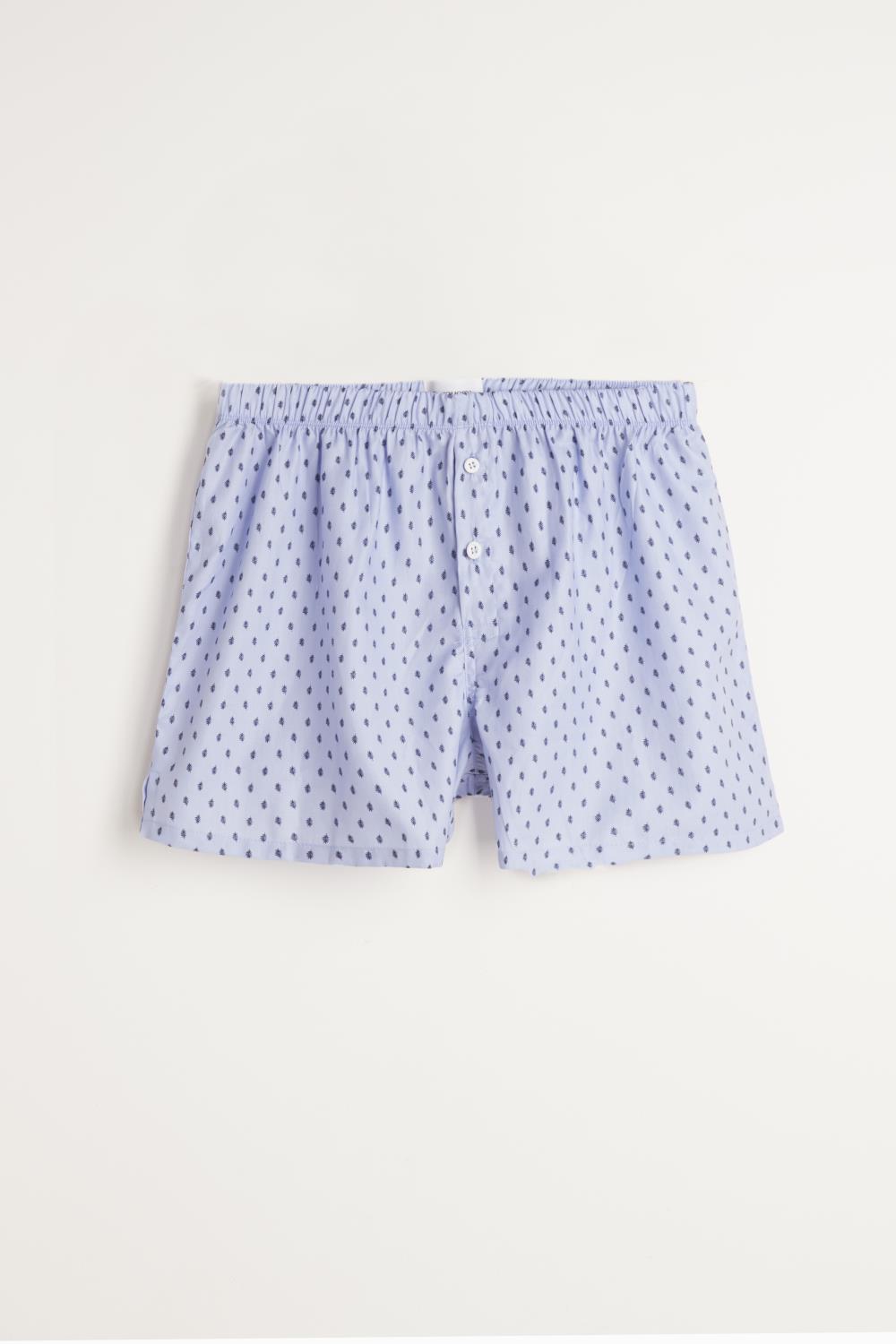 boxer blakis