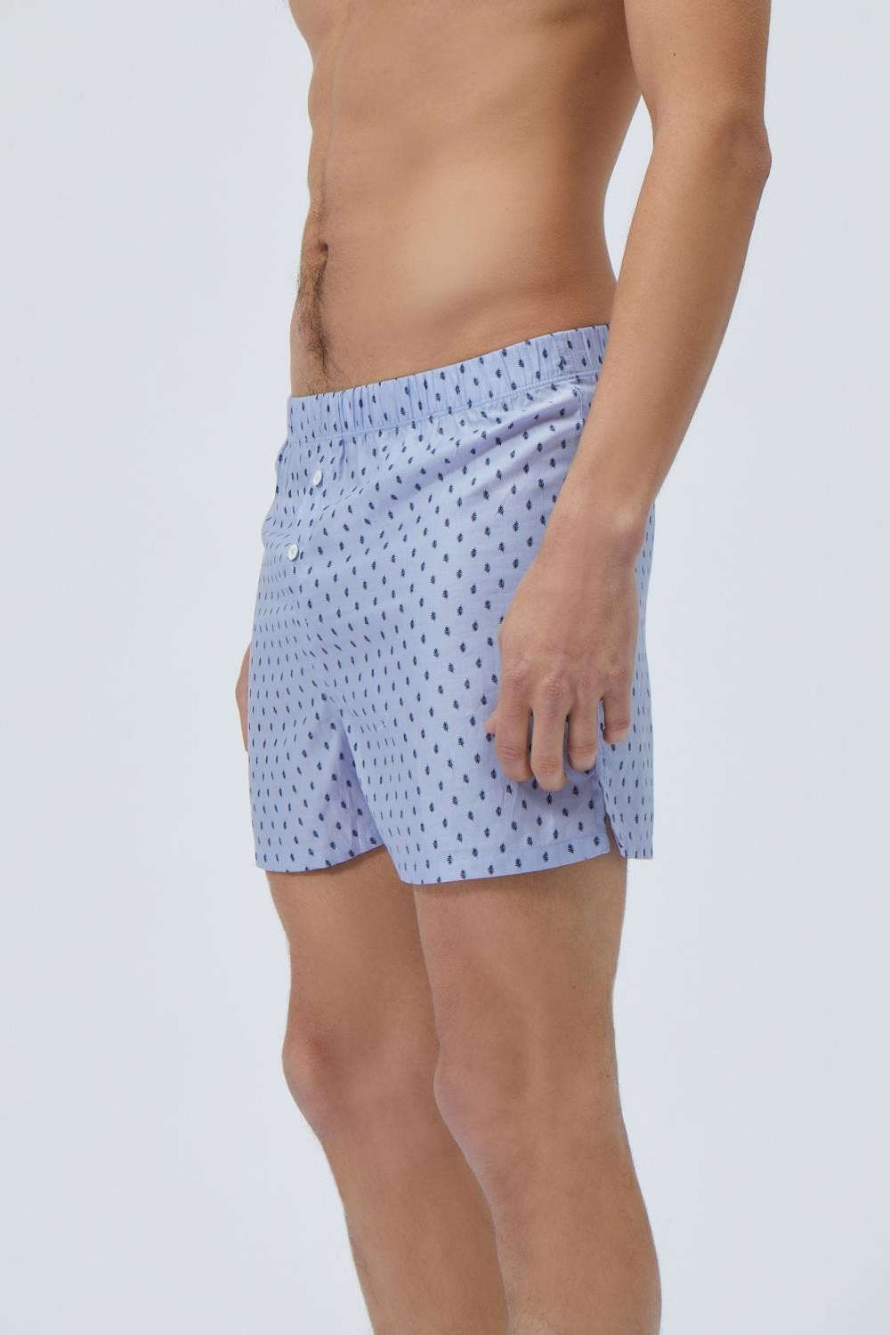 boxer blakis