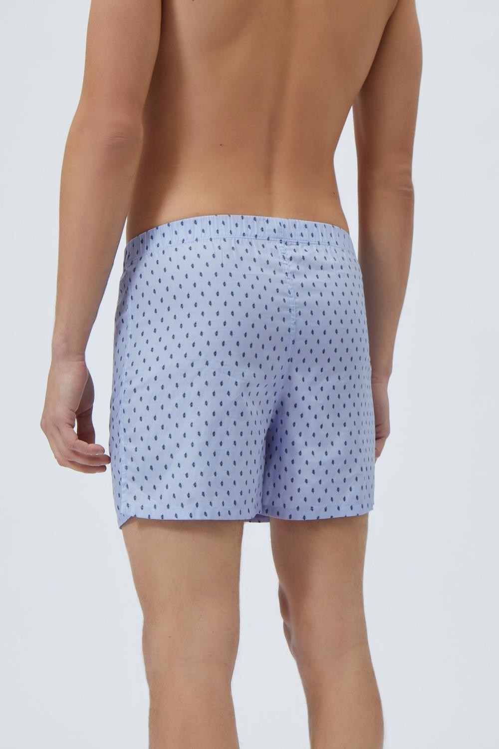 boxer blakis