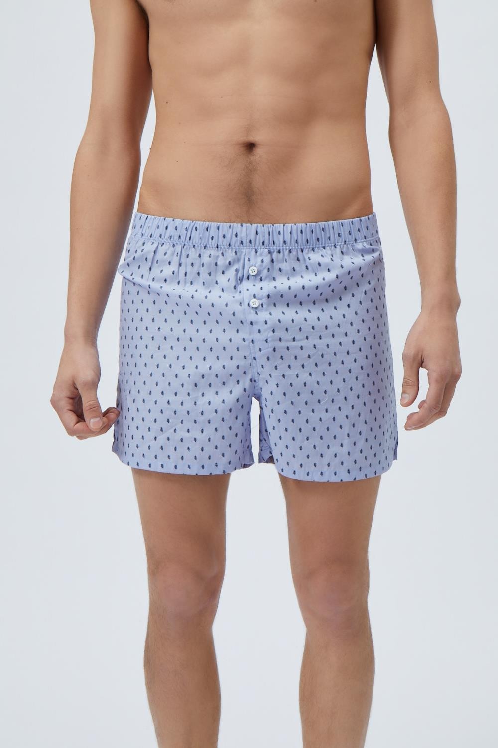 boxer blakis